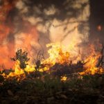 Αυστηρά μέτρα για την πρόληψη πυρκαγιών: Τι απαγορεύεται από την Πρωτομαγιά