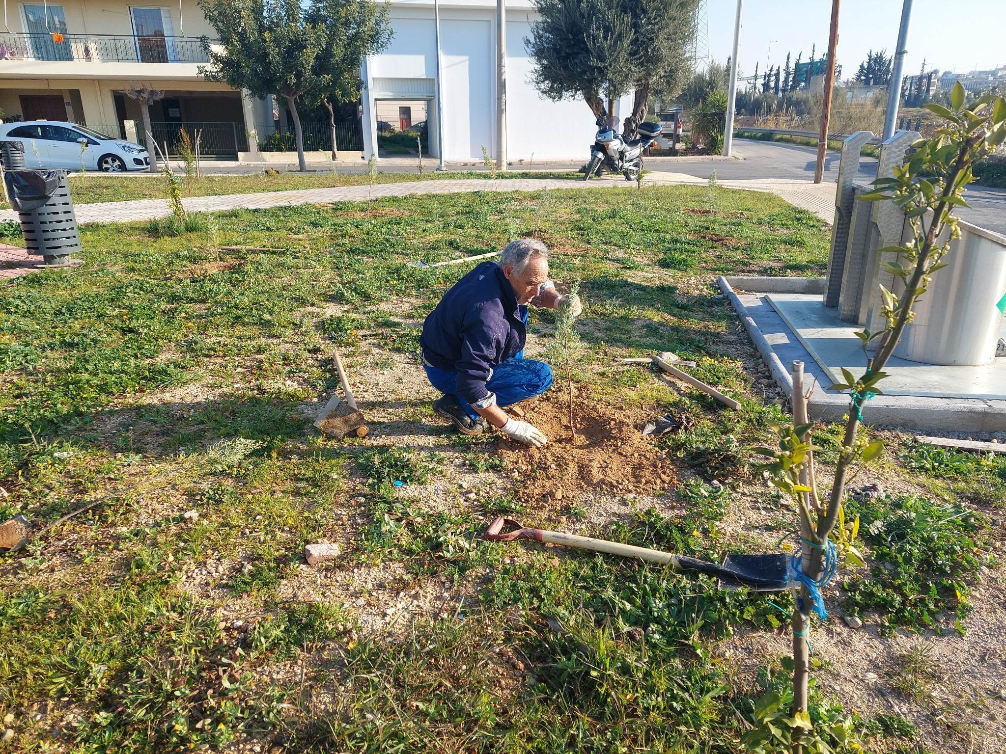 «Πρασινίζει» το Ζεφύρι ο Γιάννης Μαυροειδάκος - Περισσότερα από 700 δέντρα και φυτά σε πλατείες και σχολεία