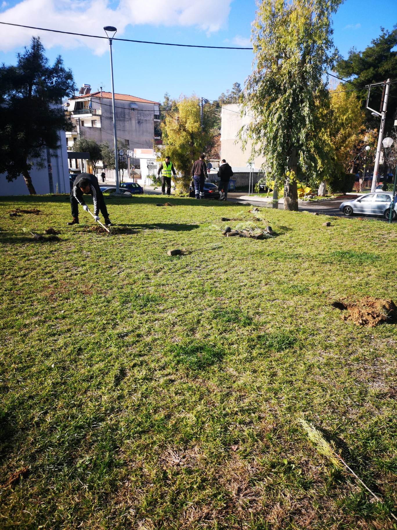 «Πρασινίζει» το Ζεφύρι ο Γιάννης Μαυροειδάκος - Περισσότερα από 700 δέντρα και φυτά σε πλατείες και σχολεία